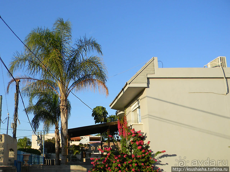 Черкесская деревня в горах Галилеи