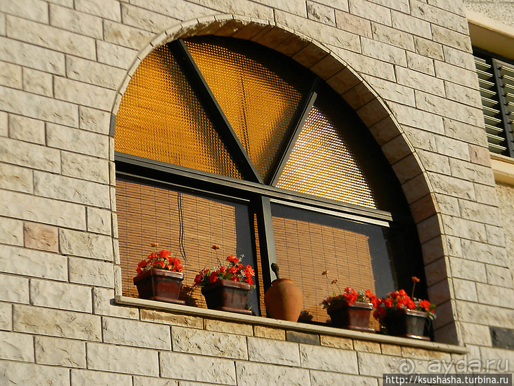 Черкесская деревня в горах Галилеи