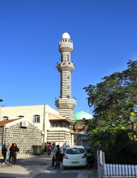 Черкесская деревня в горах Галилеи