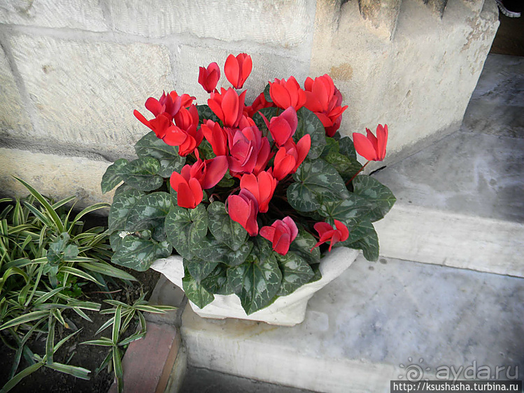 Поломанные планы или нежданный подарок