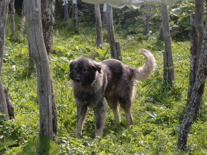 Большая стирка