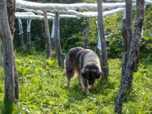 Большая стирка