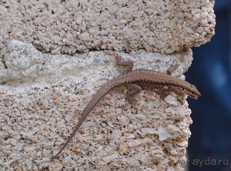 Большая стирка