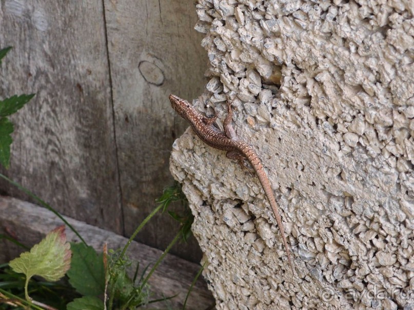 Большая стирка