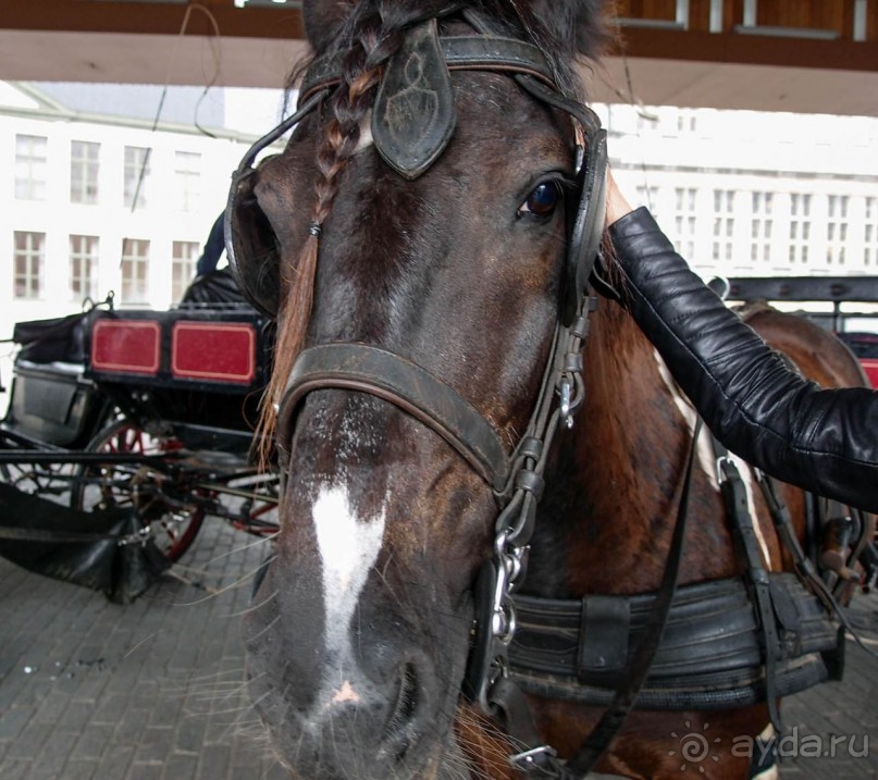 Гент II Волшебный