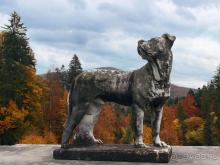 Пелеш в пылающем наряде