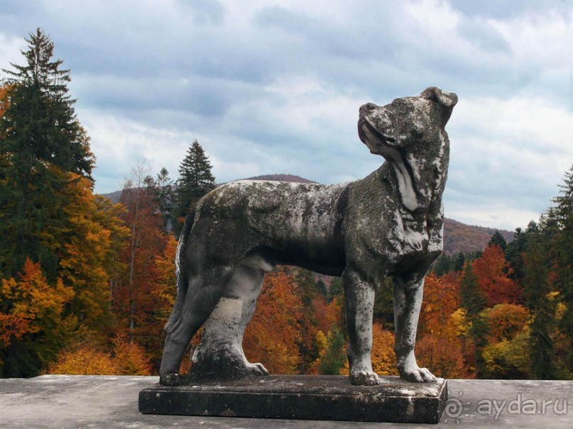 Пелеш в пылающем наряде