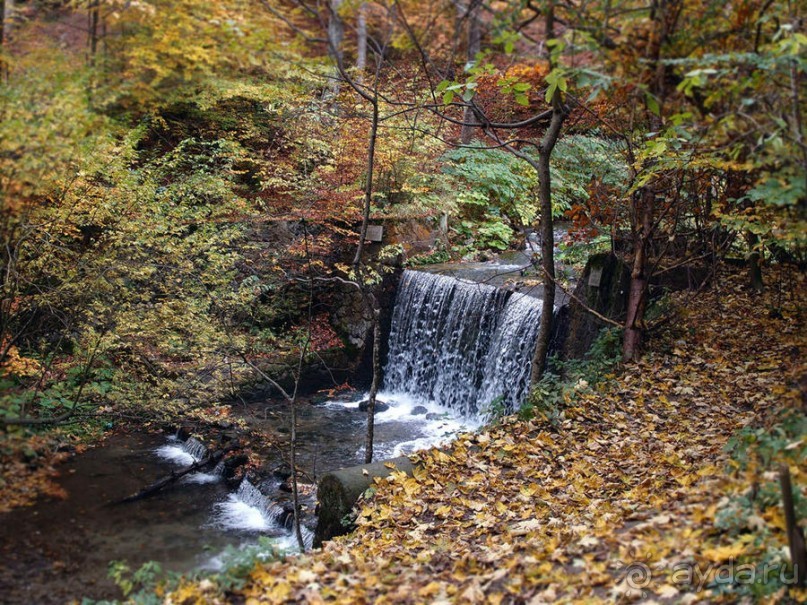 Пелеш в пылающем наряде