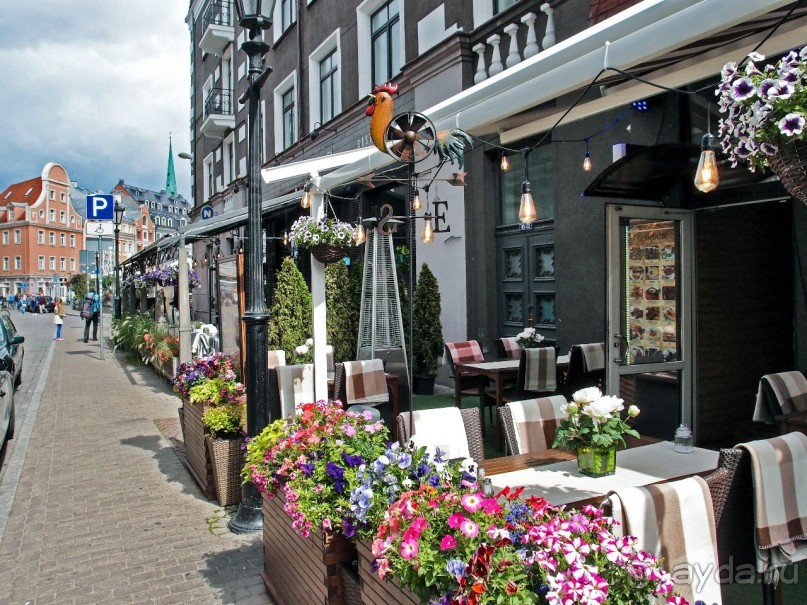 Илона, Рига и праздник Лиго