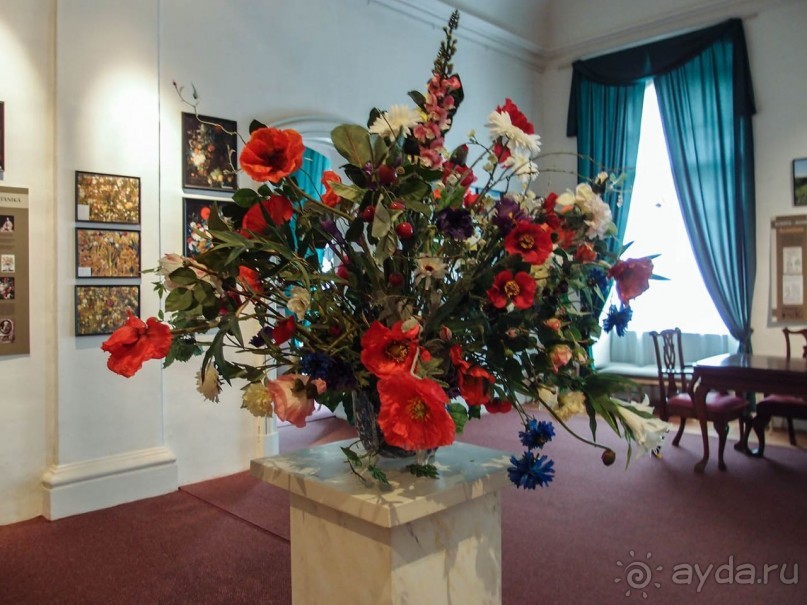 Илона, Рига и праздник Лиго