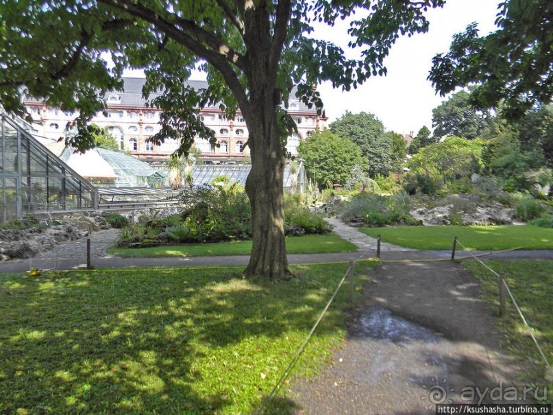 Базель. Не оконченный разговор