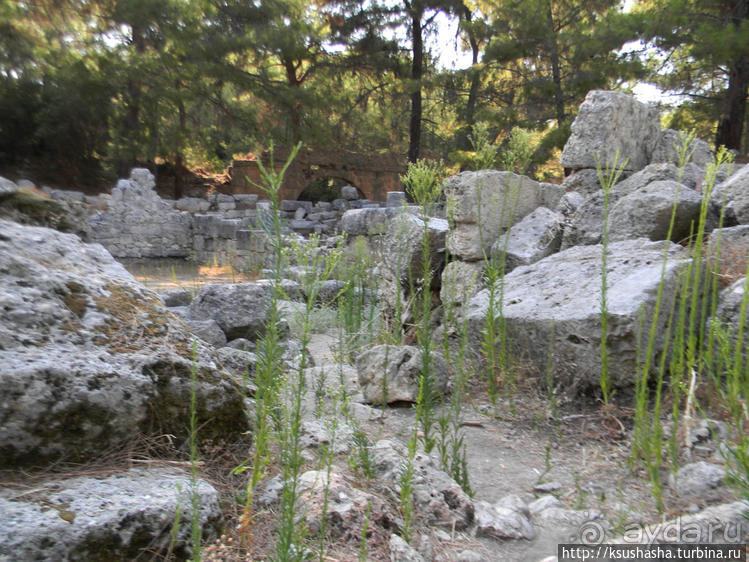 Фаселис — искупаться в античности