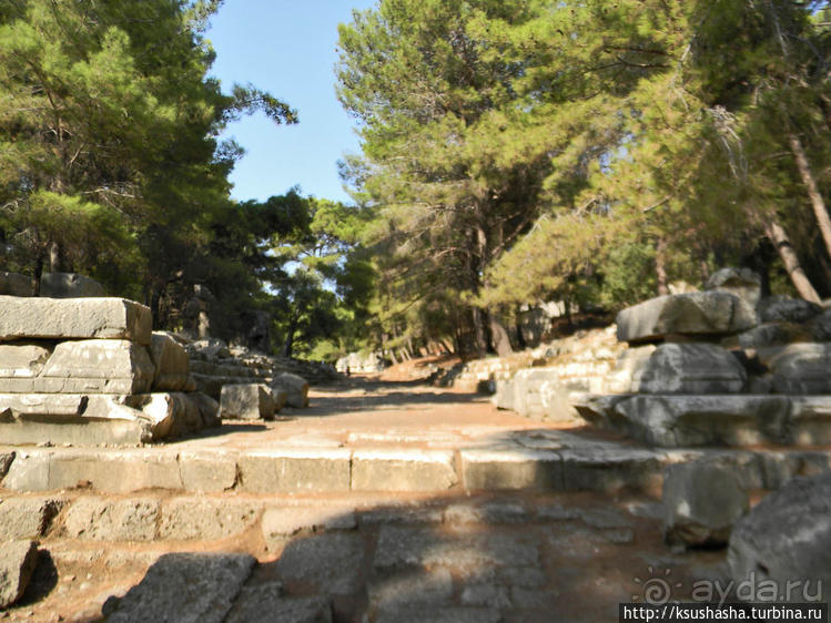 Фаселис — искупаться в античности