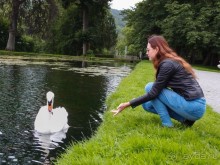 Альбом отзыва "Поместье в долине Руйон"
