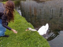 Поместье в долине Руйон