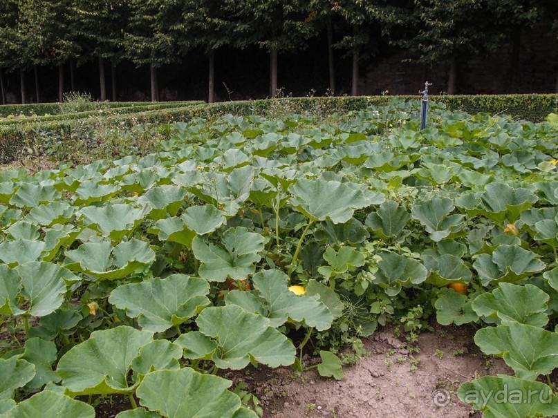 Поместье в долине Руйон