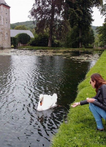 Поместье в долине Руйон