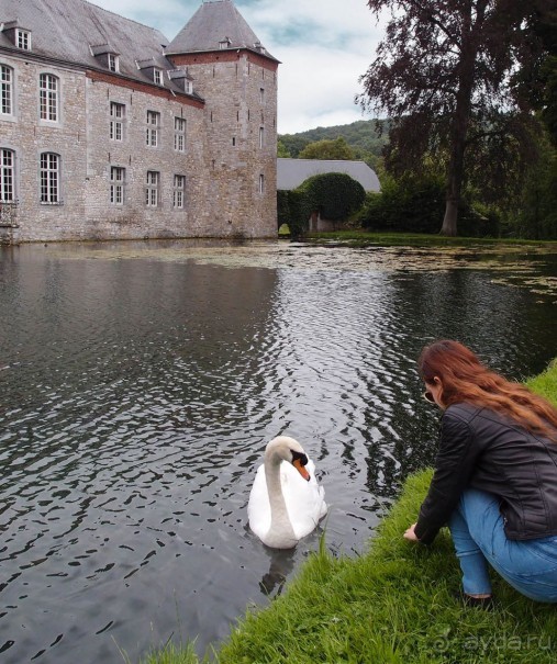 Поместье в долине Руйон
