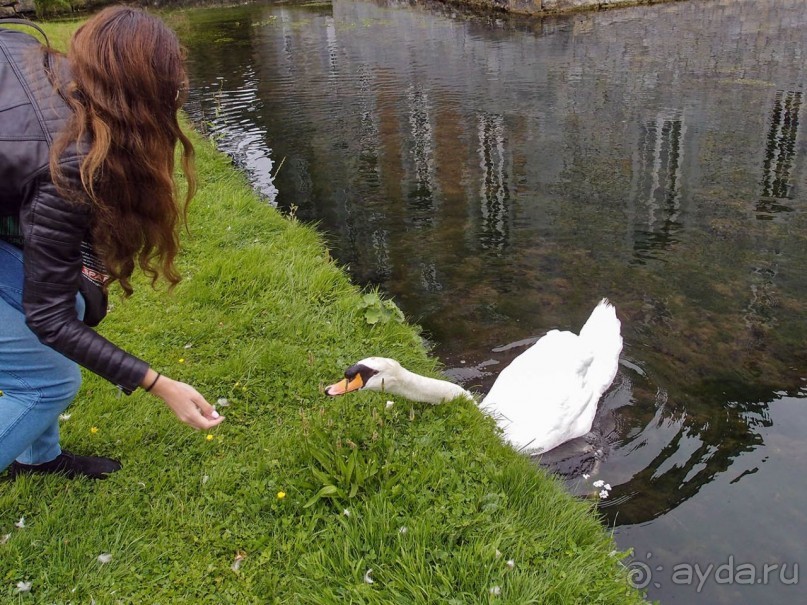 Поместье в долине Руйон