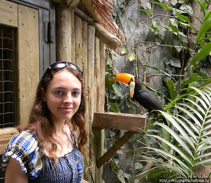 Не совсем зоопарк