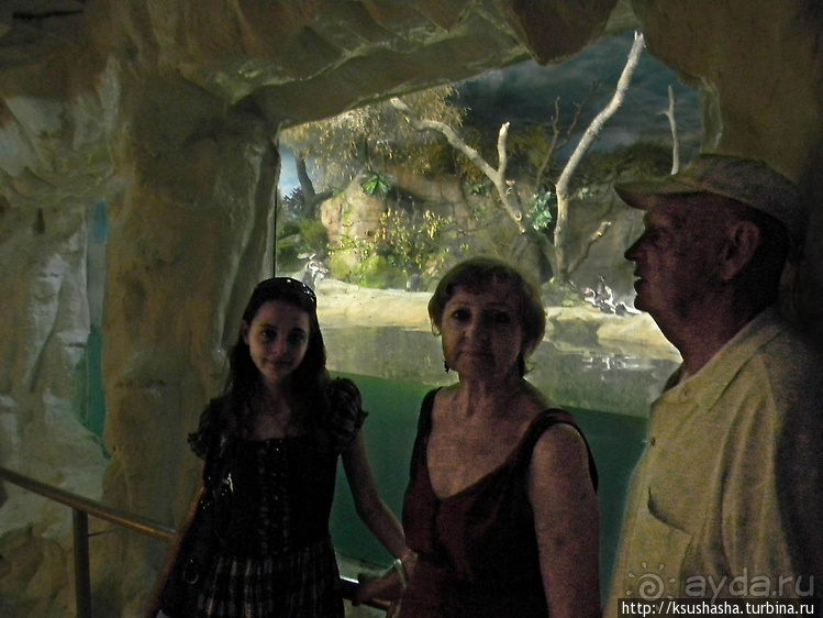 Не совсем зоопарк