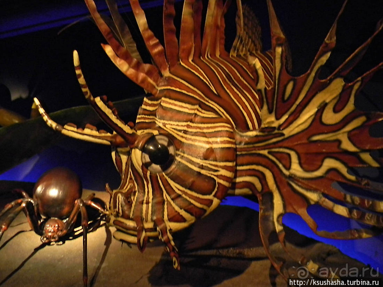 Не совсем зоопарк