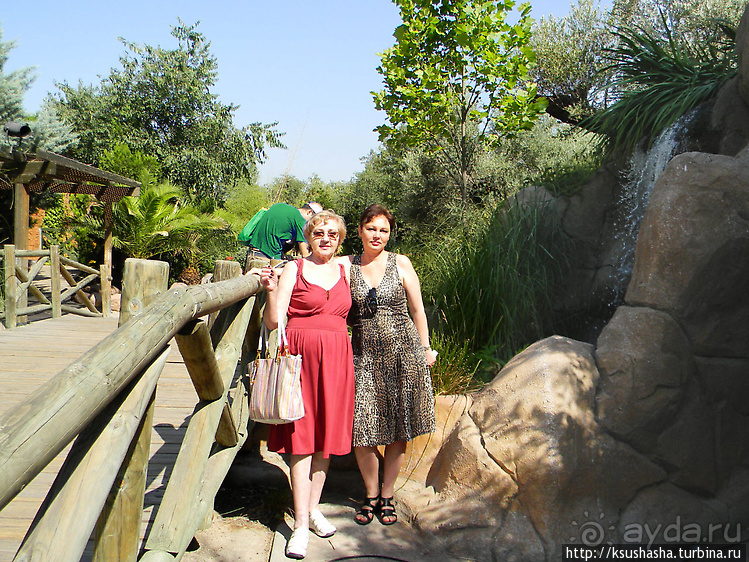 Не совсем зоопарк