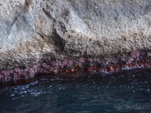 Вокруг Капри из порта Marina Grande