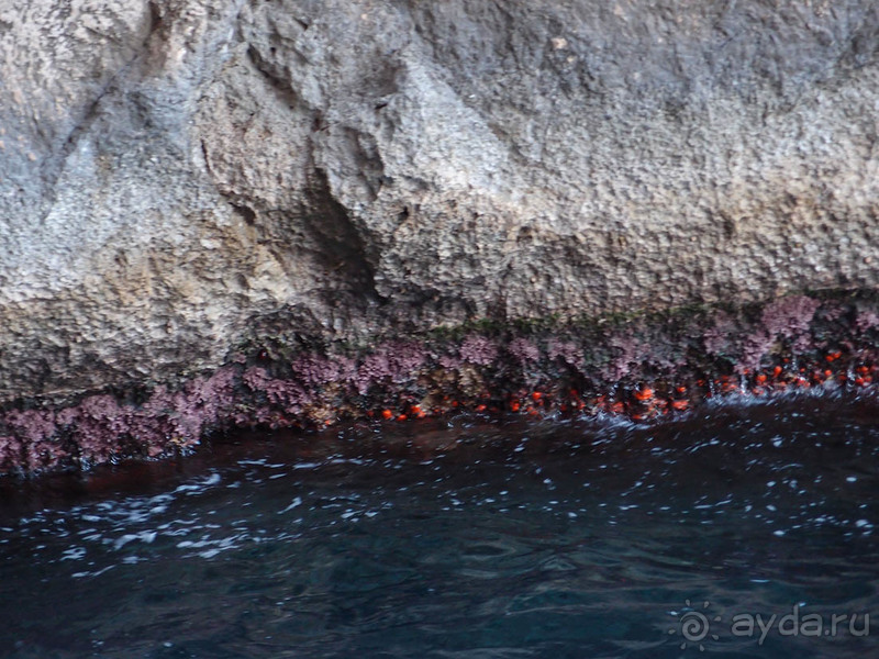 Вокруг Капри из порта Marina Grande