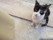 Немного ярче, немного теплее, намного жарче