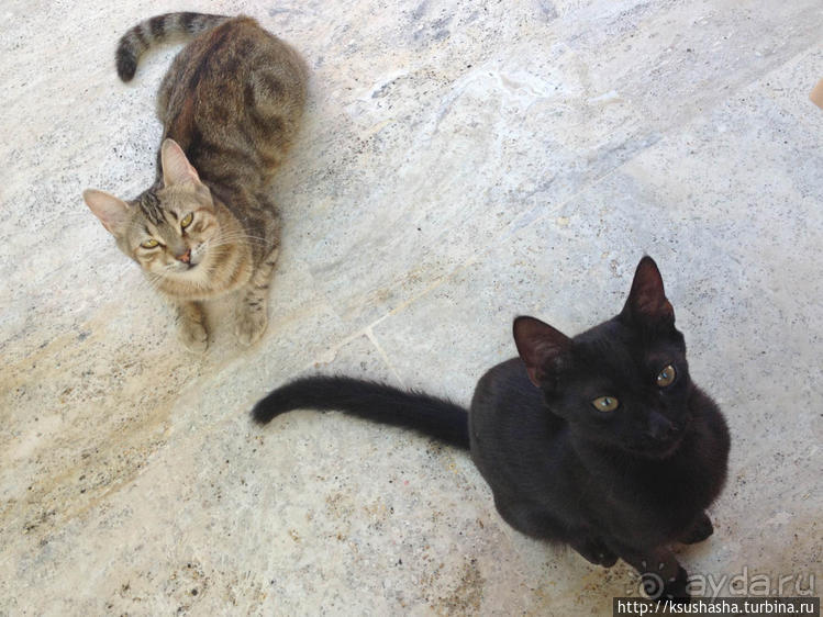 Немного ярче, немного теплее, намного жарче