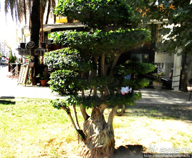 Немного ярче, немного теплее, намного жарче