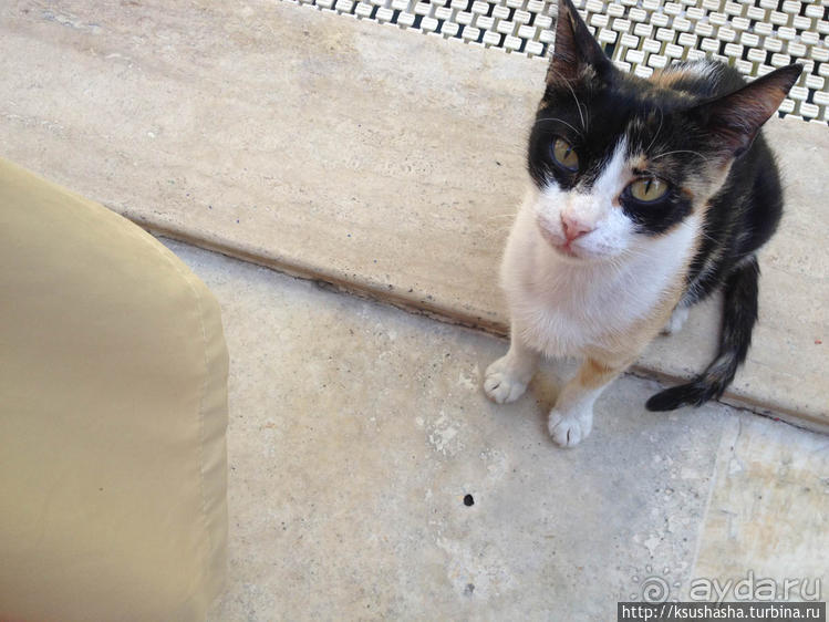 Немного ярче, немного теплее, намного жарче