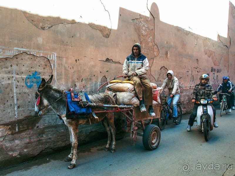 Сказки восточного базара, присказки медины 