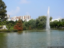 Вечера в парке Палома