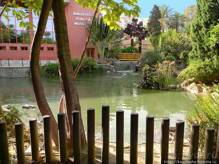 Вечера в парке Палома