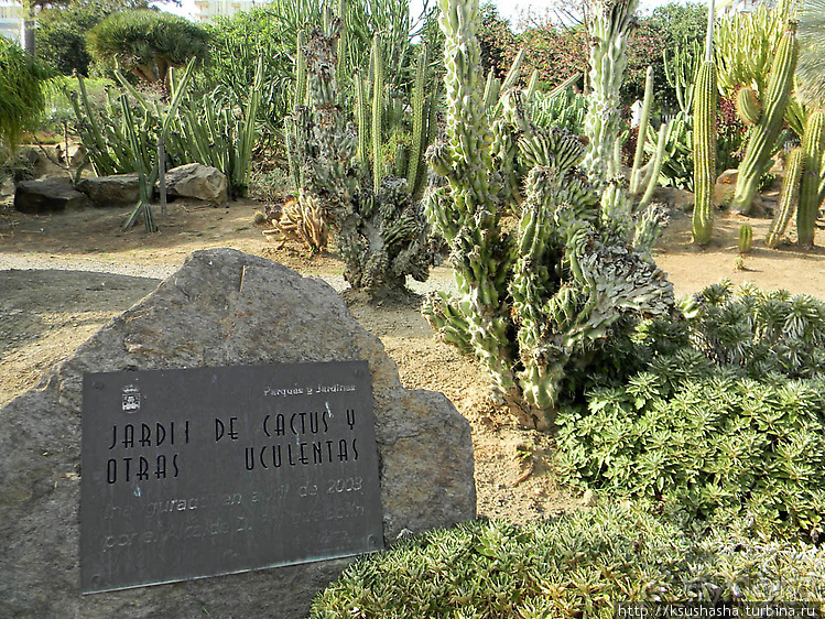 Вечера в парке Палома