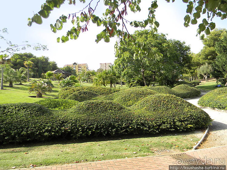 Вечера в парке Палома