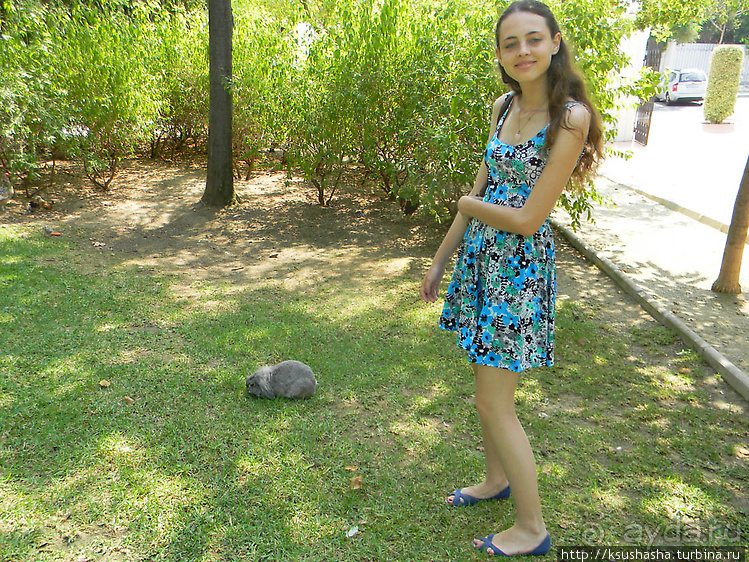 Вечера в парке Палома