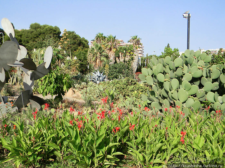Вечера в парке Палома