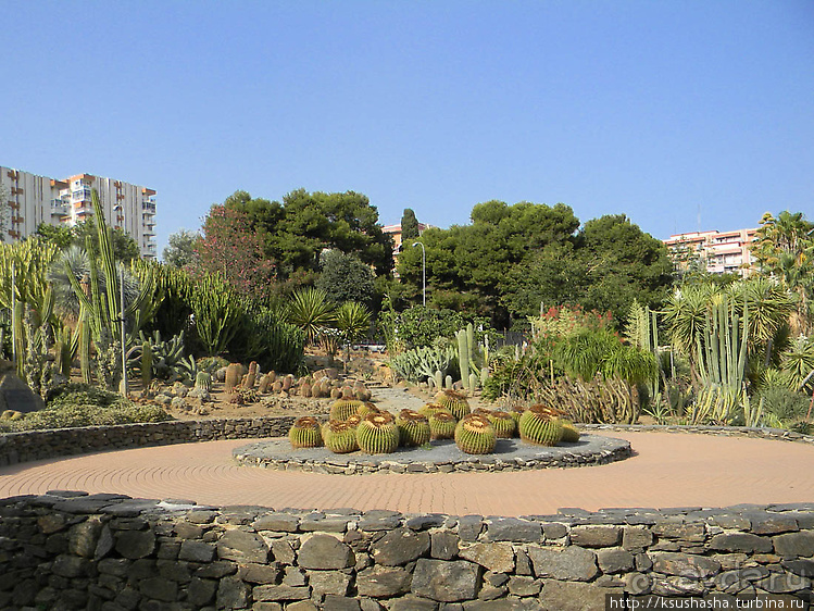 Вечера в парке Палома