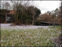 Белый аист, розовый фламинго и дыхание весны