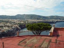 Черепашьим шагом по сказочной дороге