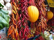 Черепашьим шагом по сказочной дороге