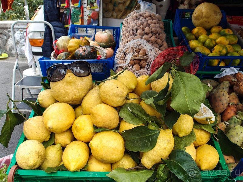 Черепашьим шагом по сказочной дороге