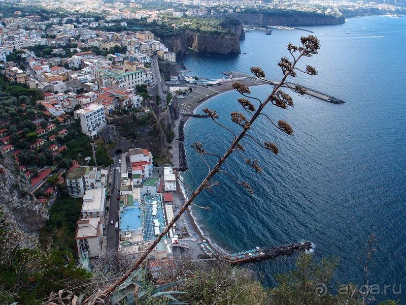 Черепашьим шагом по сказочной дороге