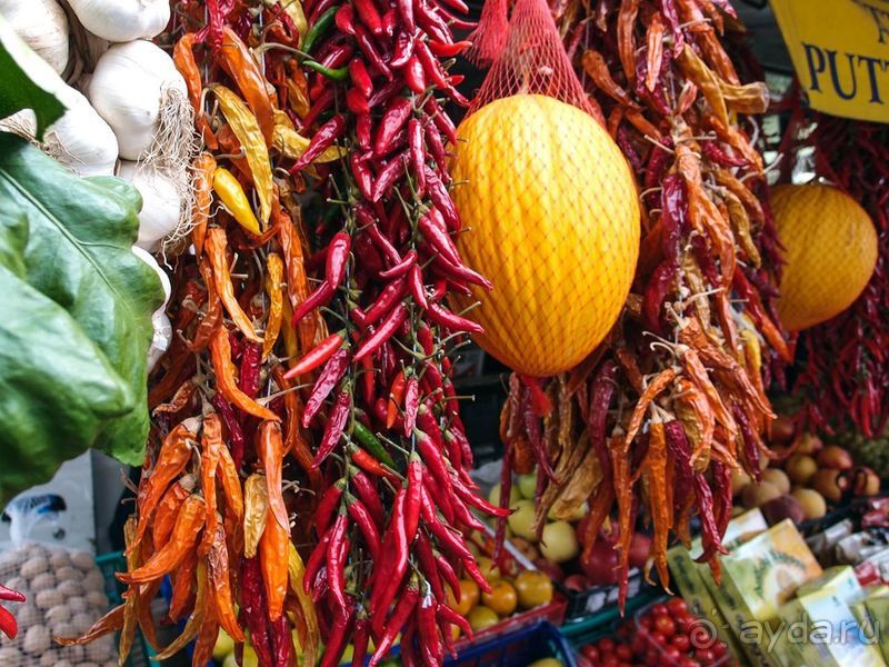 Черепашьим шагом по сказочной дороге