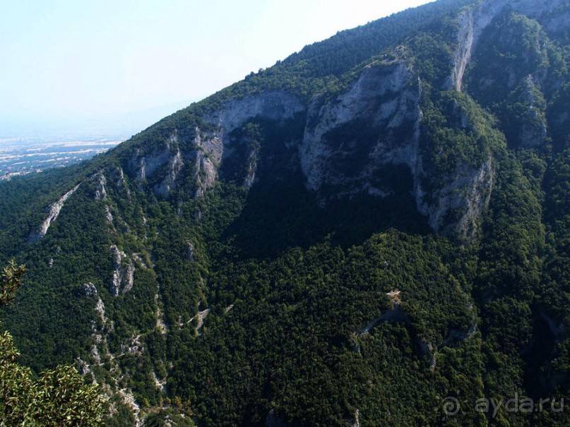 Кто сегодня живёт на Олимпе