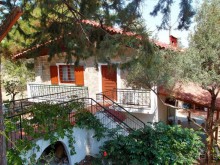 Кто сегодня живёт на Олимпе