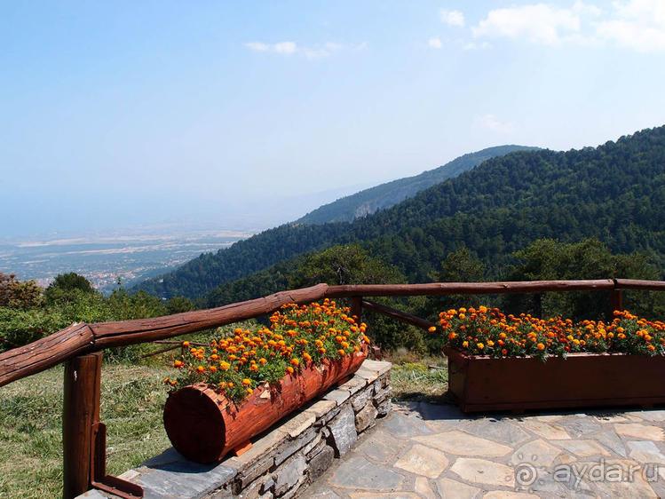 Кто сегодня живёт на Олимпе